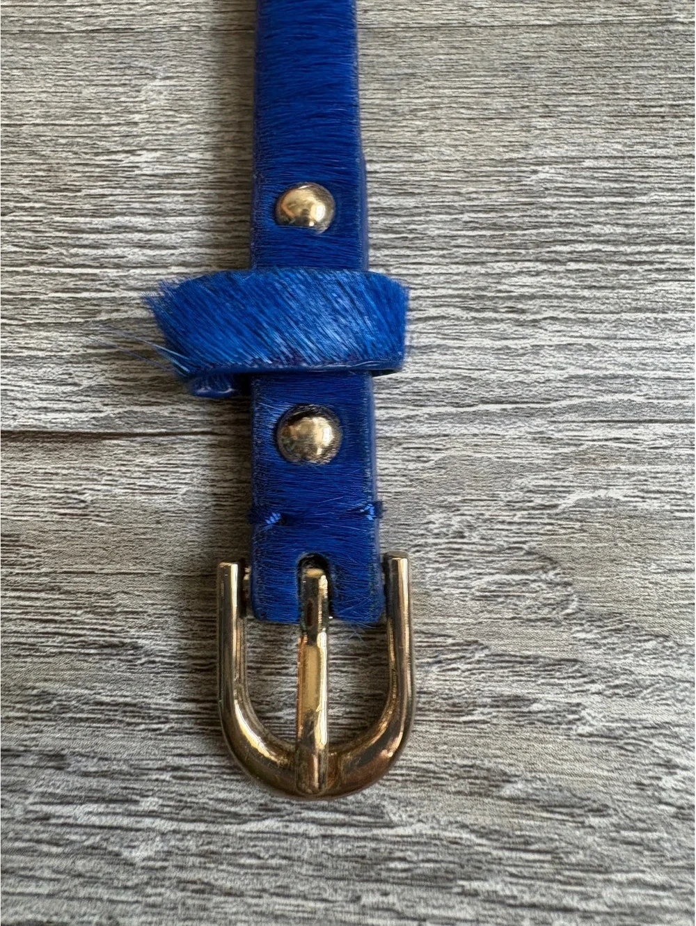 Ann Taylor XS Genuine Leather Blue Haircalf Belt with Gold Buckle